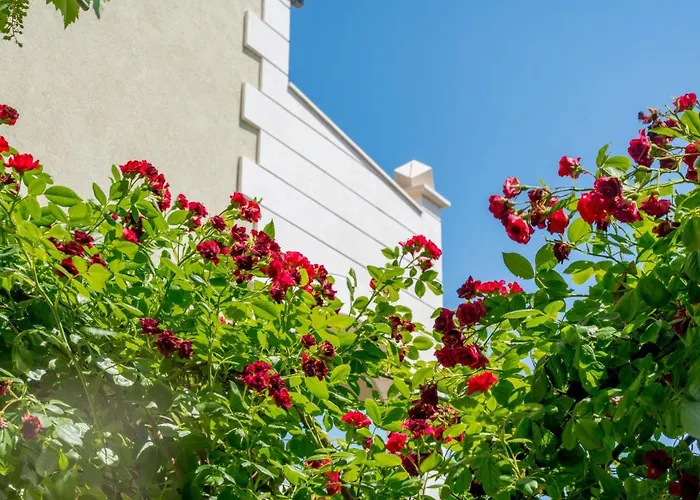 Apartman Andjelka-2 By Interhome Trogir