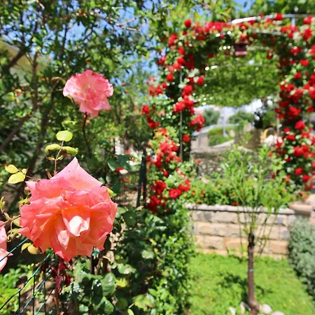 Andjelka-2 By Interhome Τρογκίρ