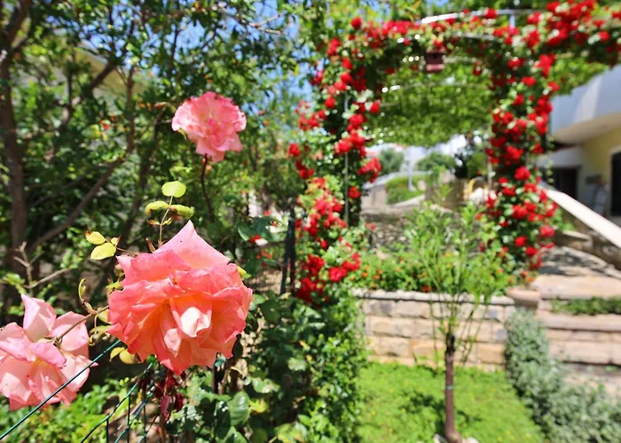 Andjelka-2 By Interhome Trogir