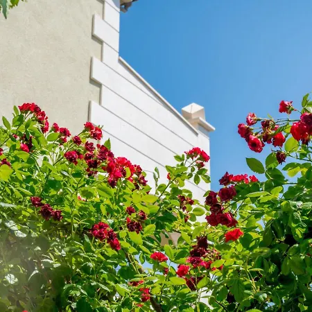 Apartamento Andjelka-2 By Interhome Trogir